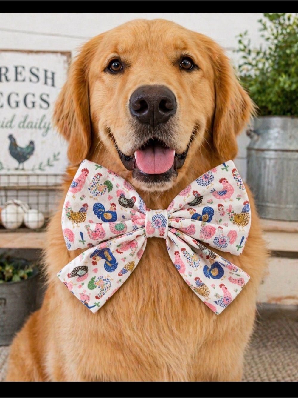 Pink Rooster Print Dog Bow Collar Accessory